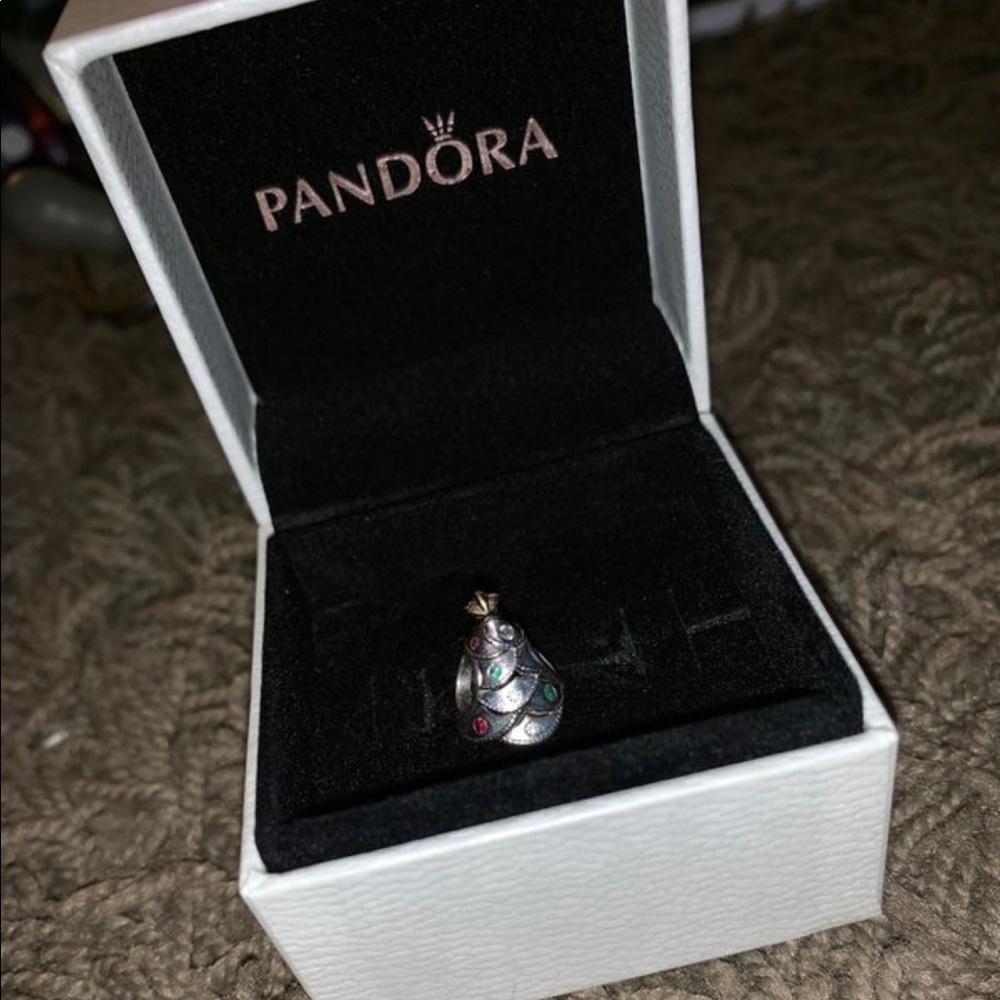 Pandora Christmas Charm